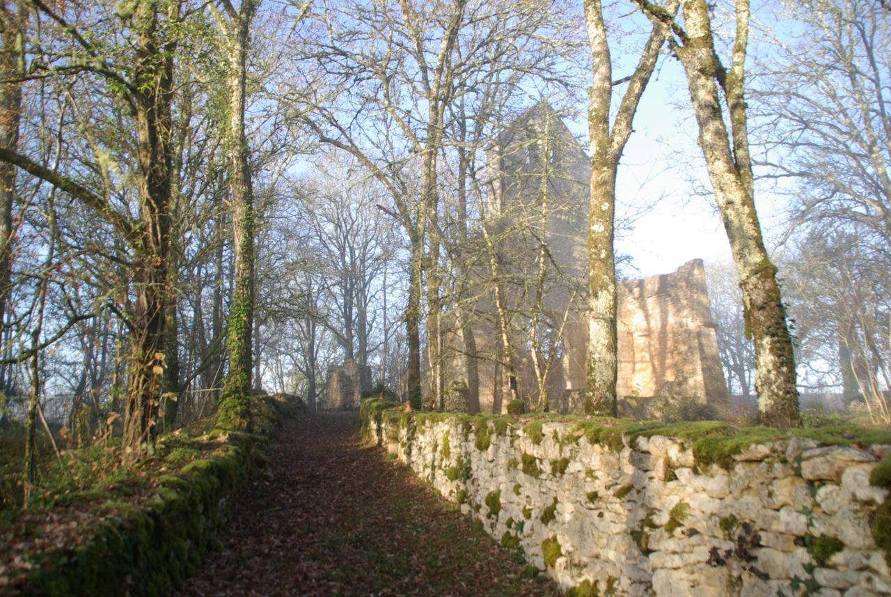 Les Maisons Du Cheylard-Lascaux Villa Les Farges  Eksteriør billede