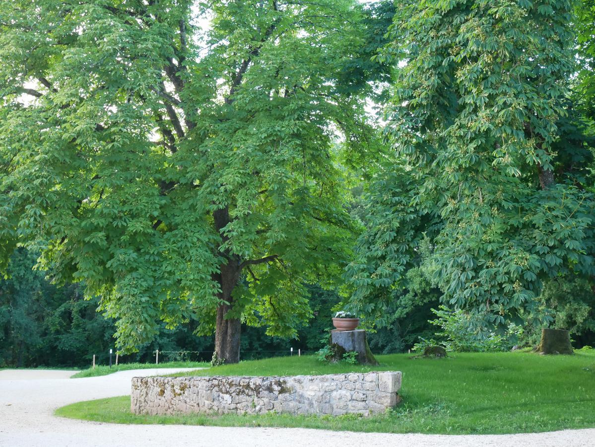 Les Maisons Du Cheylard-Lascaux Villa Les Farges  Eksteriør billede